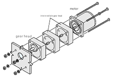 Intermediate Gearhead